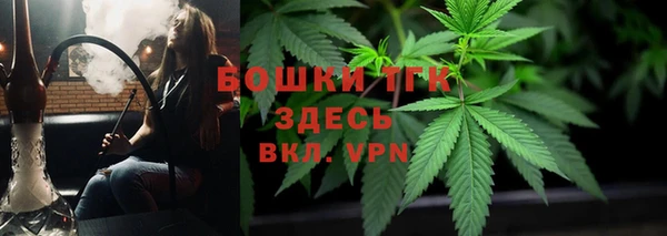 сатива Алексеевка