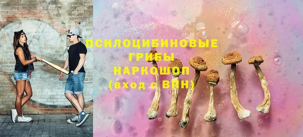 сатива Алексеевка