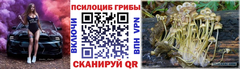 гидра маркетплейс  Кизел  Галлюциногенные грибы Psilocybine cubensis 